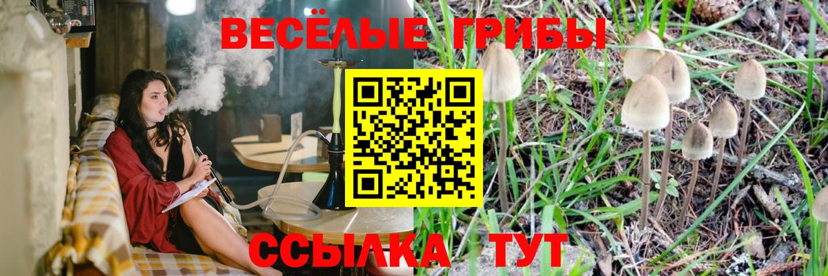 цена   Вход с VPN  Галлюциногенные грибы мухоморы  Петропавловск-Камчатский  Псилоцибиновые грибы GOLDEN TEACHER 